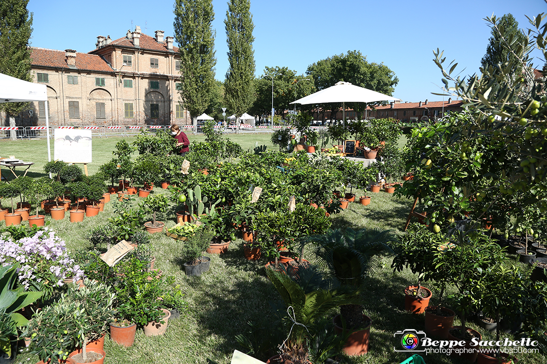 VBS_2376 - FloReal 2021 alla Palazzina di Caccia di Stupinigi.jpg